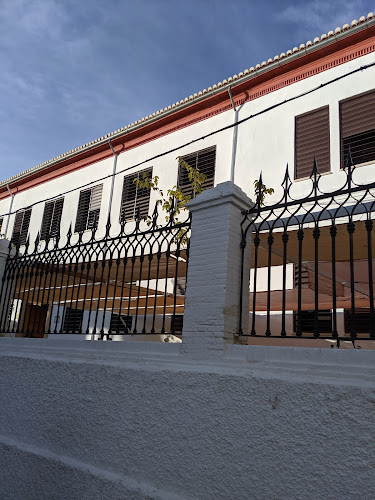 Colegio Público Gómez Moreno-empresa-de-granada